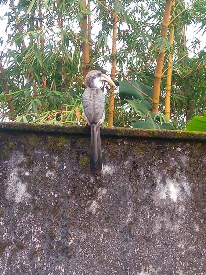 Rathna Gems Halt Hotel Ratnapura Exterior foto