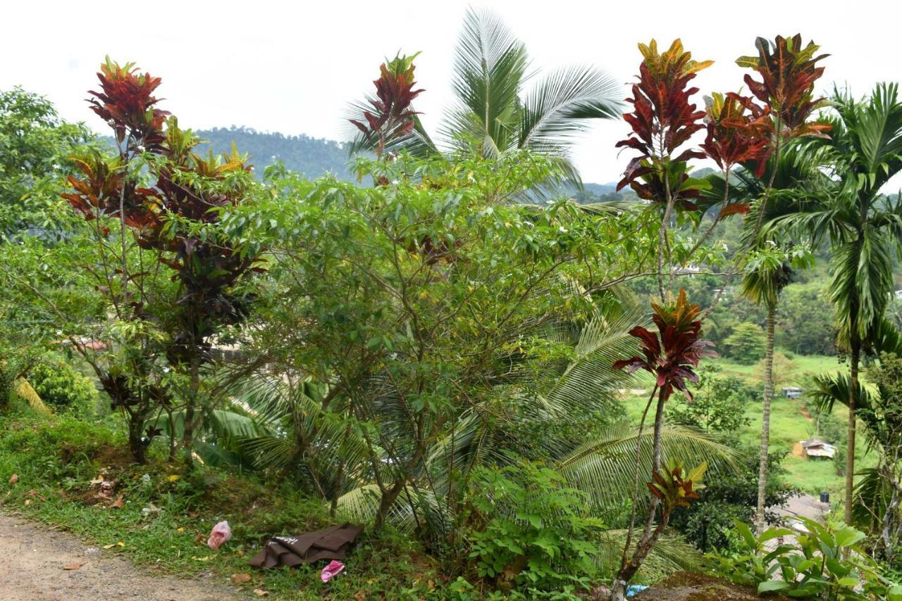 Rathna Gems Halt Hotel Ratnapura Exterior foto